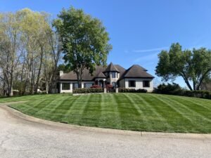 Blog | A Galloway Scapes 3