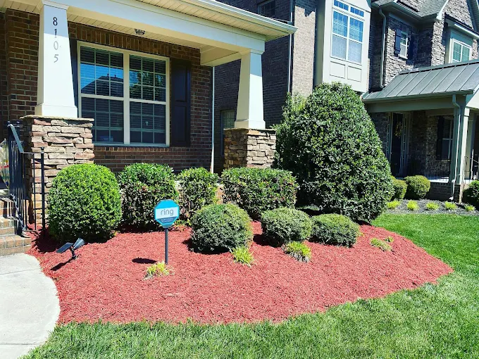 Complete Lawn Renovation and Restoration Services in Waxhaw, NC