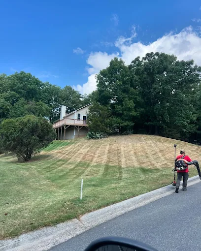 Professional Tree Health & Disease Treatment Services in Waxhaw, NC