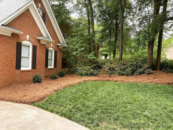 Reliable Site Preparation for Strong, Long-Lasting Foundations in Waxhaw, NC