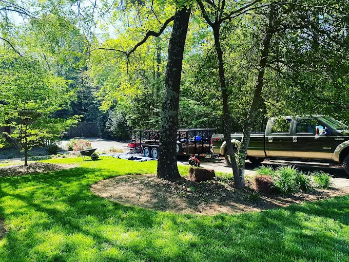 Tree Health & Disease Treatment in Waxhaw, NC