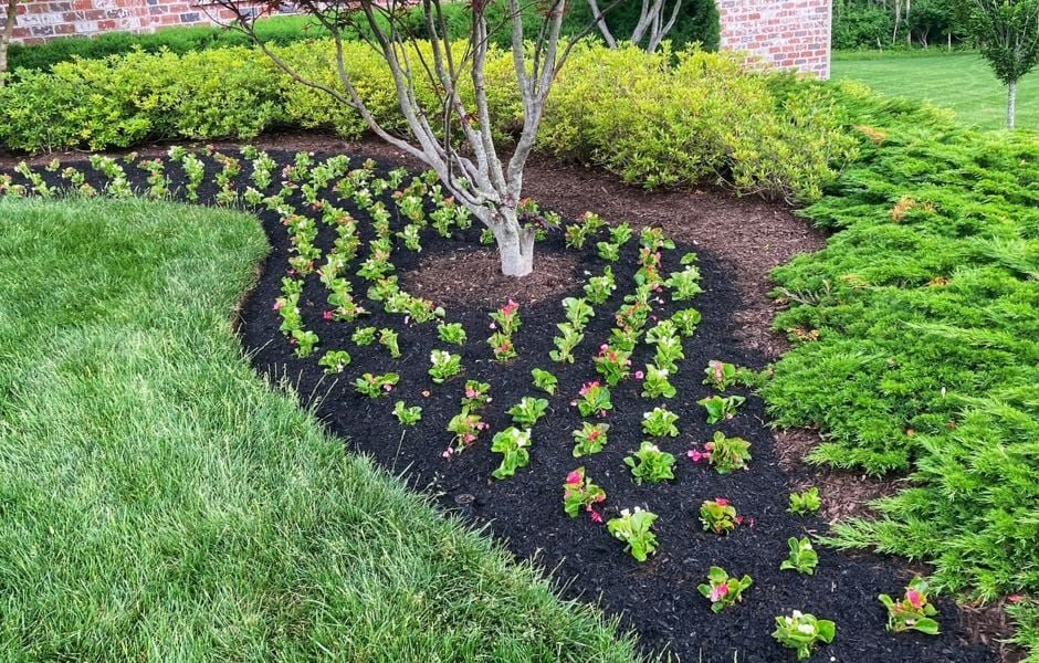 Landscape Bed Maintenance in Waxhaw, NC | A Galloway Scapes | Best Landscaping Company Waxhaw, NC