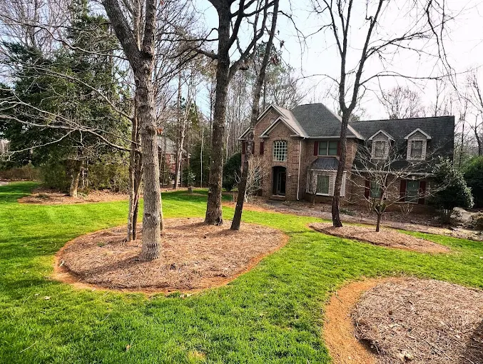 Trusted Landscaping Services in Indian Land, SC