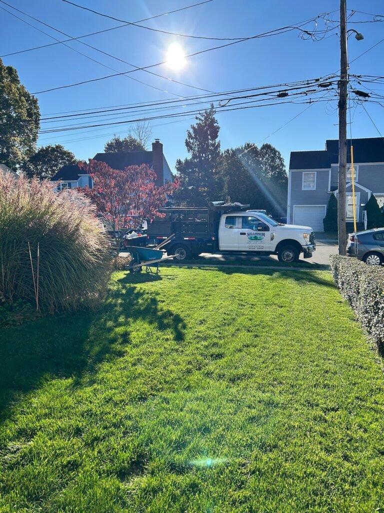 Complete Lawn Renovation and Restoration Services in Waxhaw, NC