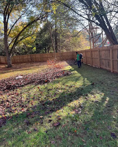 Efficient Leaf Removal Services for a Clean, Healthy Lawn in Waxhaw, NC