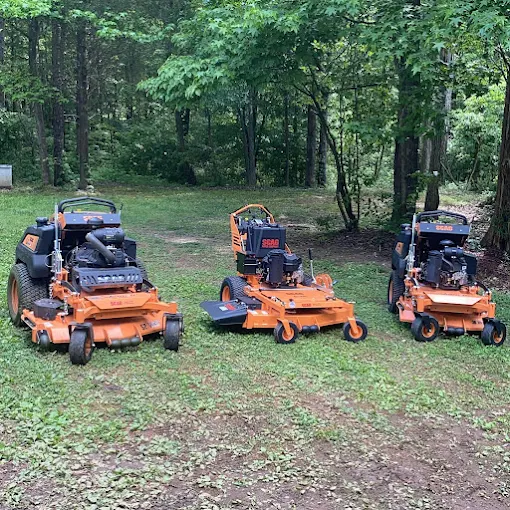 Expert Stump Grinding Services for a Clean, Safe Yard in Waxhaw, NC