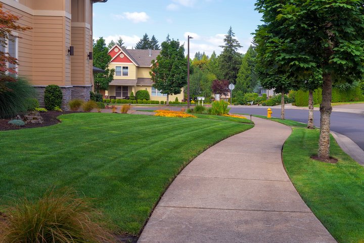 Grading and Leveling in Marvin, NC for Better Drainage Professional Landscaping Services in Waxhaw, NC | A Galloway Scapes, LLC in Waxhaw, NC