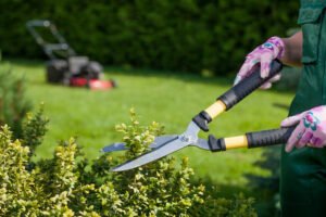 Lawn Maintenance Services in Waxhaw, NC for Busy Homes Professional Landscaping Services in Waxhaw, NC | A Galloway Scapes, LLC in Waxhaw, NC