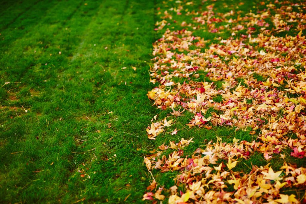 Leaf Removal in Waxhaw, NC