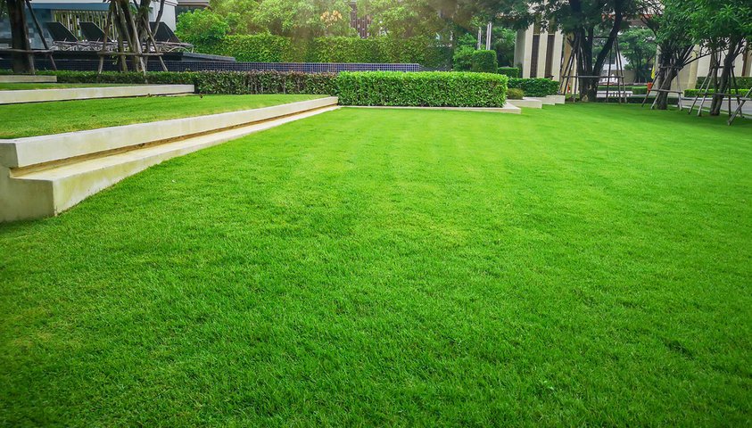 Low Maintenance Landscaping in Tega Cay, SC Ideas Professional Landscaping Services in Waxhaw, NC | Galloway Scapes, LLC in Waxhaw, NC