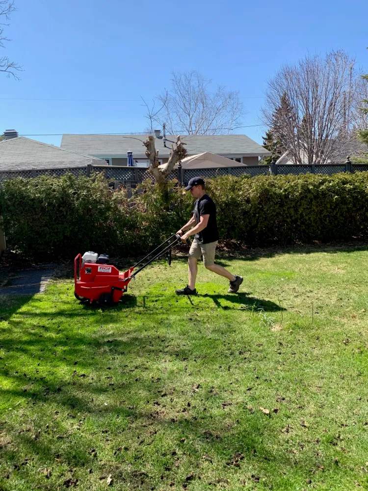 Professional Lawn Aeration and Overseeding for Stronger Growth in Waxhaw, NC