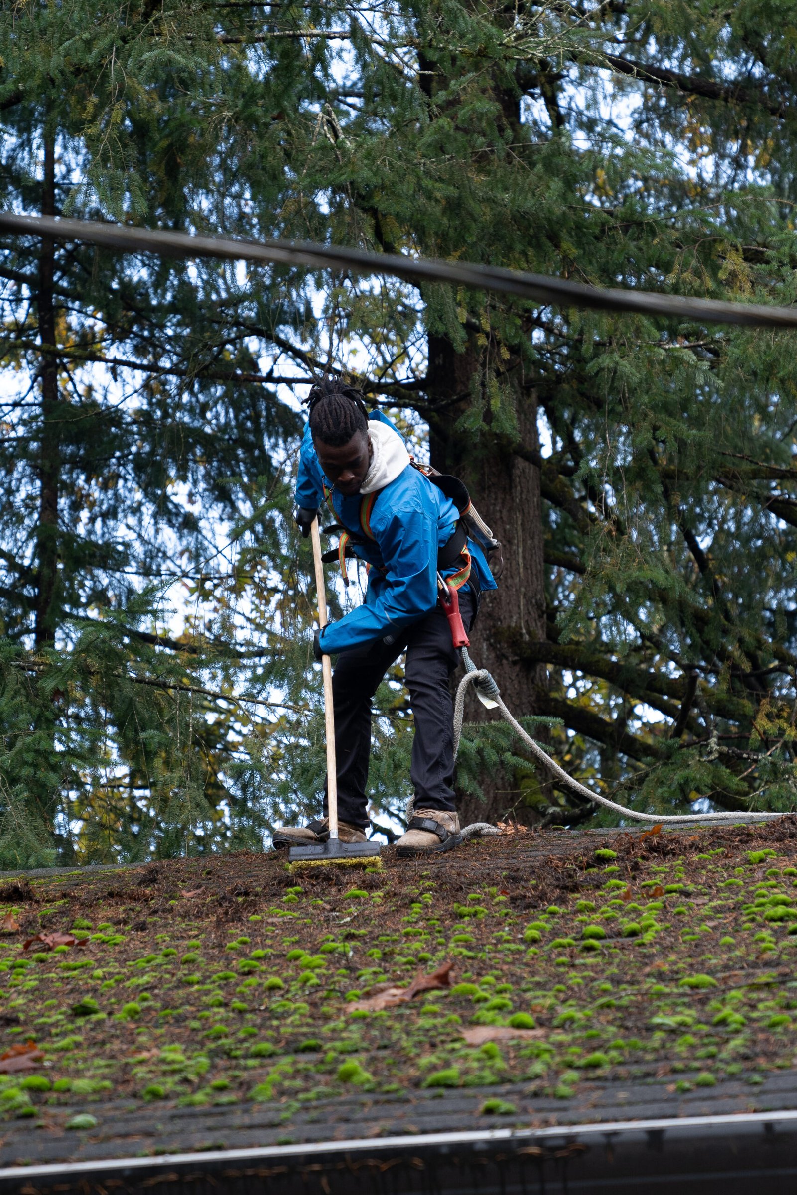 Professional Roof Soft Washing for a Cleaner, Longer-Lasting Roof in Waxhaw, NC