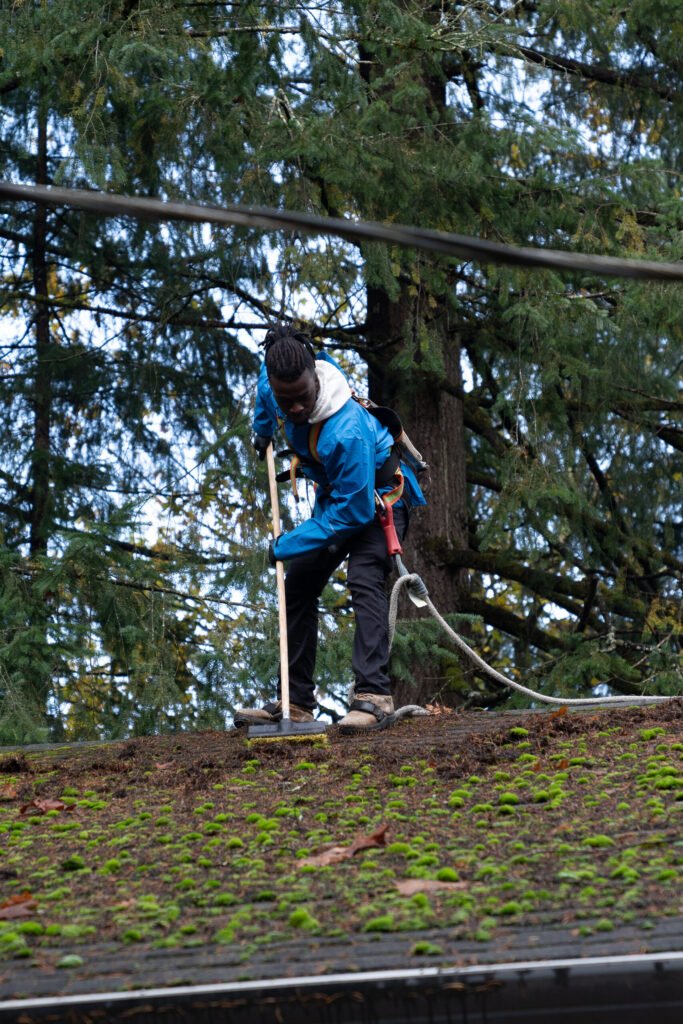Services 4 Professional Roof Soft Washing for a Cleaner, Longer-Lasting Roof in Waxhaw, NC