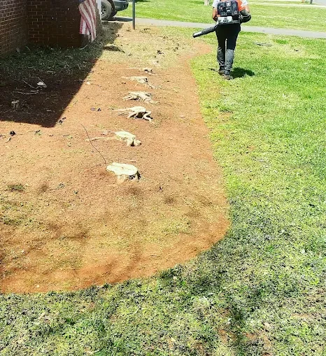 Professional Storm Damage Cleanup to Restore Your Yard in Waxhaw, NC