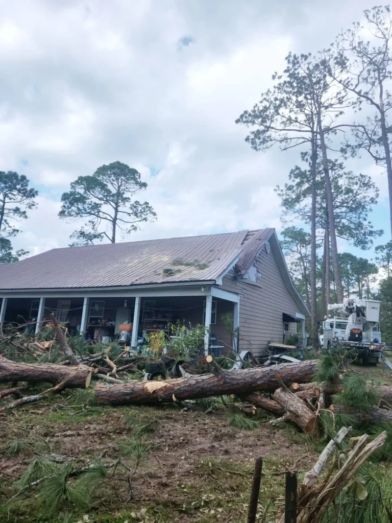 Professional Storm Damage Cleanup to Restore Your Yard in Waxhaw, NC