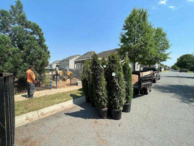 Professional Tree Health & Disease Treatment Services in Waxhaw, NC