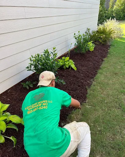 Quality Mulching Services for Healthier Plants and Cleaner Landscape Beds