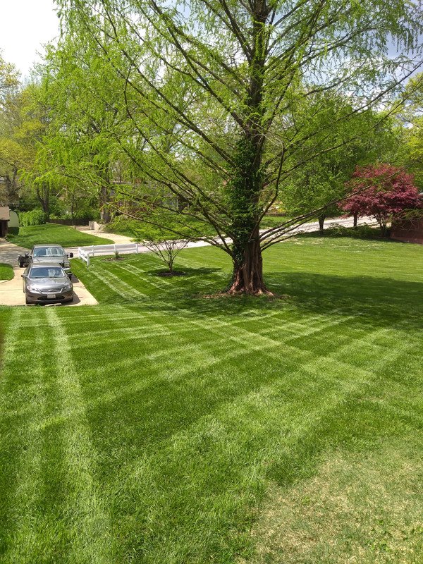 Reliable Seasonal Yard Cleanup Services for Every Season in Waxhaw, NC