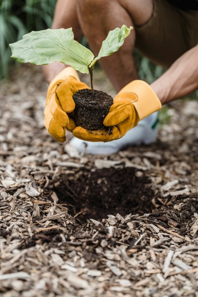 A Gallow Scapes LLC | Trusted Landscaping Services in Waxhaw, NC
