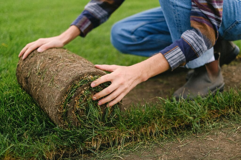 Sod Installation in Waxhaw, NC | A Galloway Scapes | Best Landscaping Company Waxhaw, NC