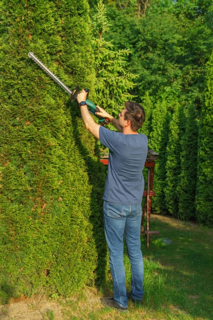 Shrub & Hedge Trimming in Waxhaw, NC | A Galloway Scapes | Best Landscaping Company Waxhaw, NC