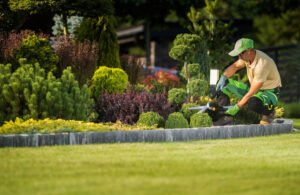 Landscape Maintenance in Waxhaw, NC Reliable Service Professional Landscaping Services in Waxhaw, NC | A Galloway Scapes, LLC in Waxhaw, NC