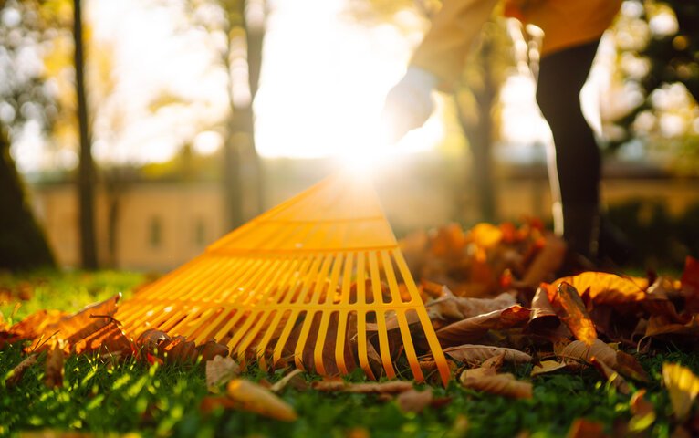 Seasonal Lawn Care in Wesley Chapel, NC Calendar 9 Seasonal Lawn Care in Wesley Chapel, NC Calendar Professional Landscaping Services in Waxhaw, NC | A Galloway Scapes, LLC in Waxhaw, NC