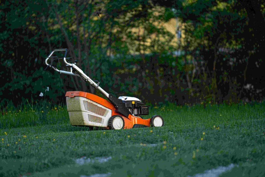 Benefits of Weekly Lawn Maintenance in Fort Mill, SC