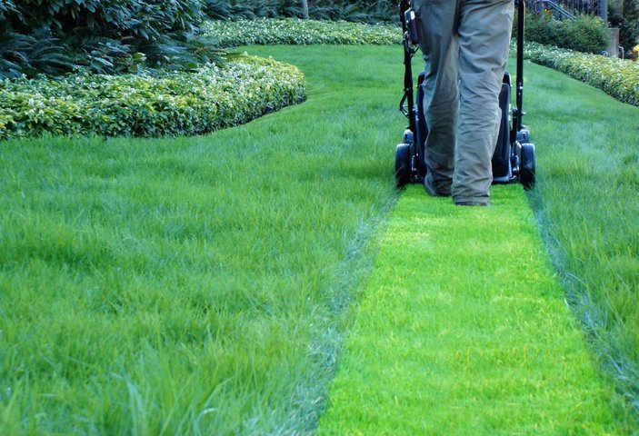 Lawn Maintenance Quotes in Wesley Chapel, NC Fast Professional Landscaping Services in Waxhaw, NC | Galloway Scapes, LLC in Waxhaw, NC