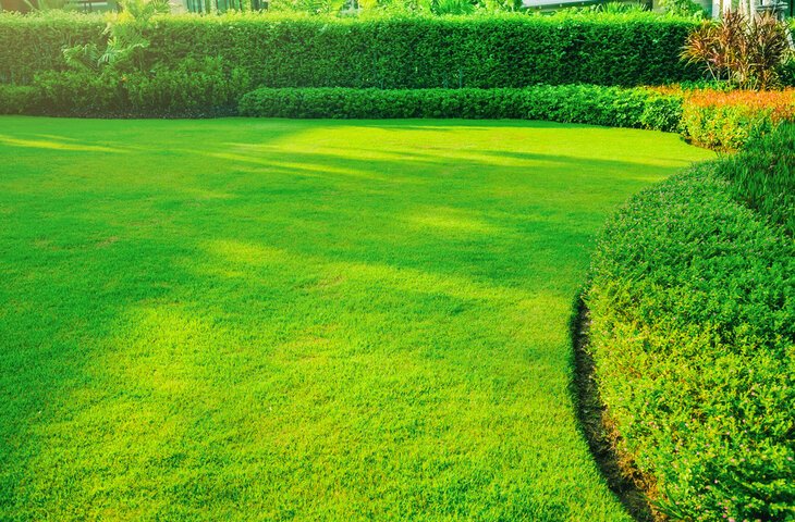 Aeration and Overseeding in Wesley Chapel, NC Basics Professional Landscaping Services in Waxhaw, NC | Galloway Scapes, LLC in Waxhaw, NC