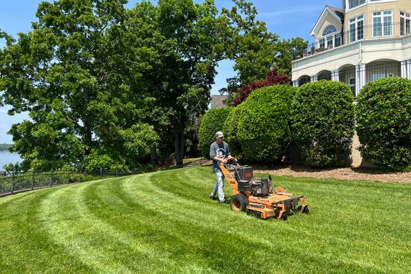 Lawn-Maintenance-card-img