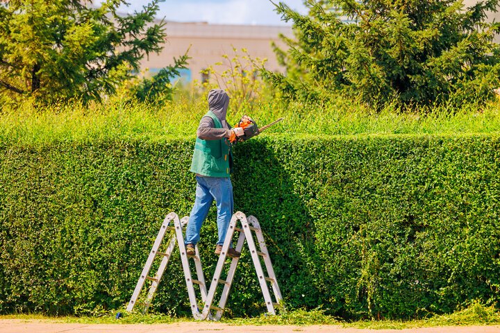 Pruning and Hedge Trimming in Rock Hill, SC Professional Landscaping Services in Waxhaw, NC | Galloway Scapes, LLC in Waxhaw, NC