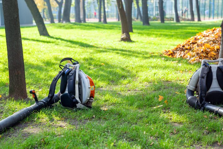 Fall Leaf Removal in Marvin, NC What to Know Professional Landscaping Services in Waxhaw, NC | Galloway Scapes, LLC in Waxhaw, NC