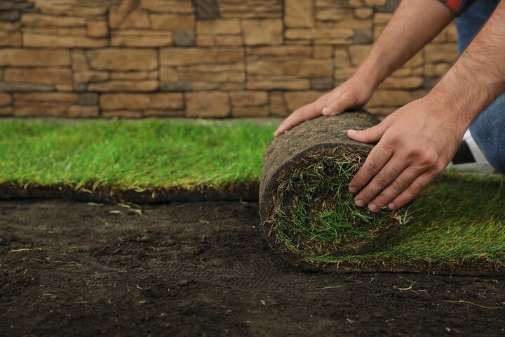 Sod Installation in Weddington, NC What to Expect Professional Landscaping Services in Waxhaw, NC | Galloway Scapes, LLC in Waxhaw, NC