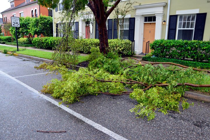 Storm Cleanup Services in Indian Land, SC Fast Response Professional Landscaping Services in Waxhaw, NC | Galloway Scapes, LLC in Waxhaw, NC